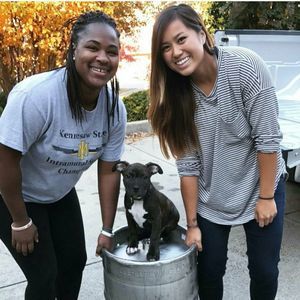 Meet your Posher, Janay